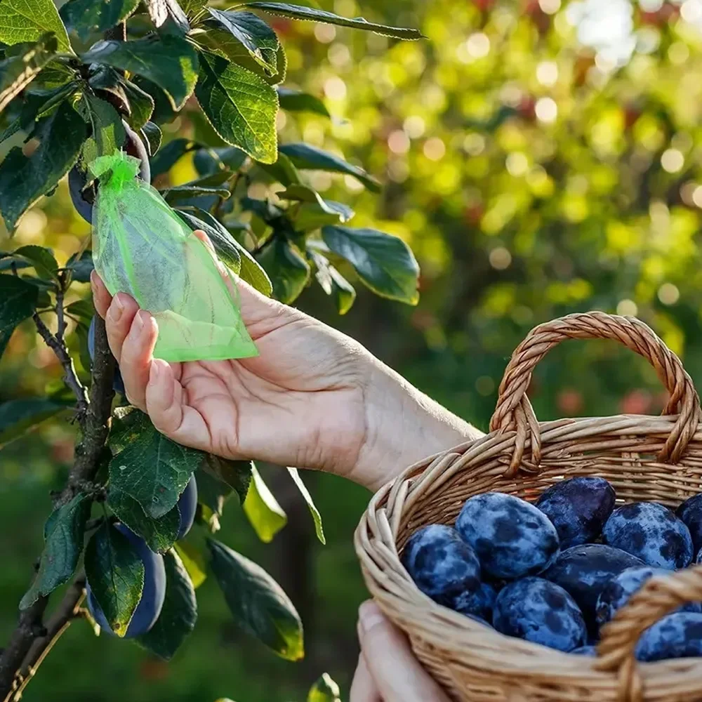10/30/50Pcs Fruit Protection Bags Plant Grow Netting Bag with DrawstringFruitProtectionMesh Bag Insect-proof Anti-Bird Mesh Bag