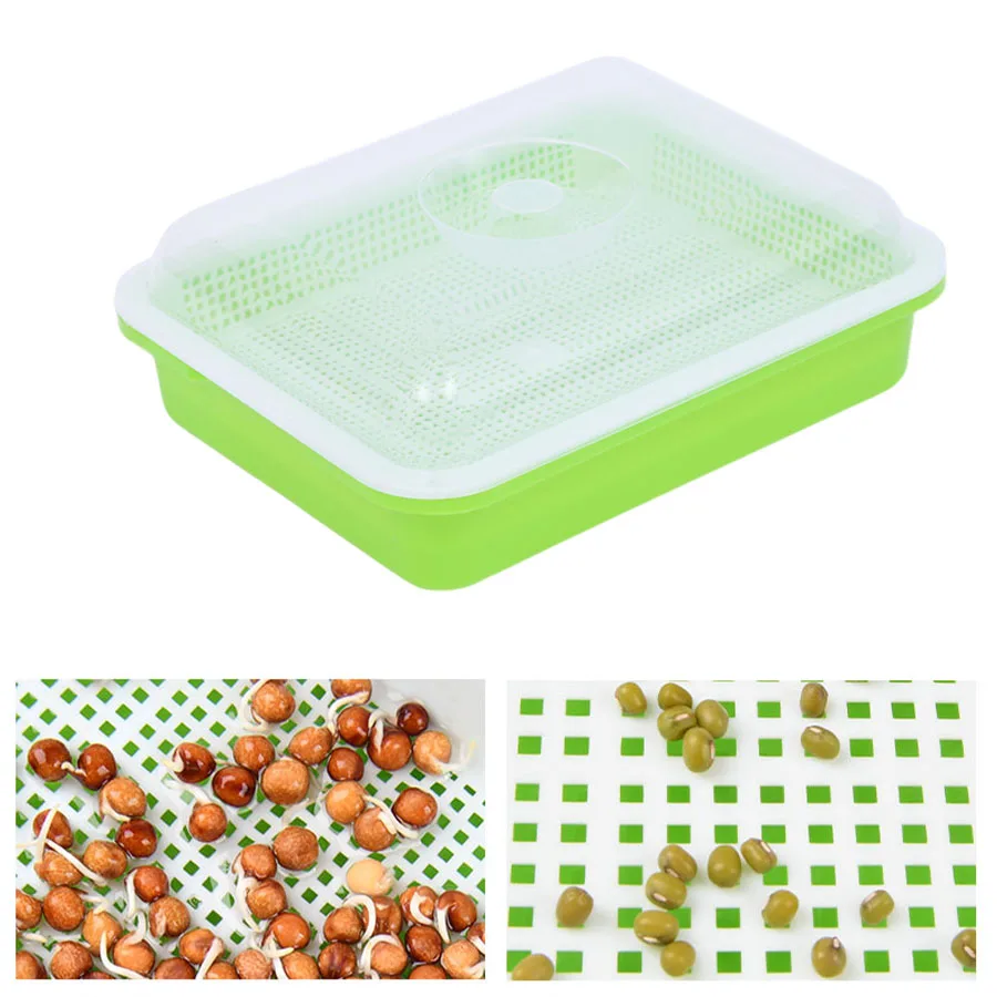 Sprout Dish Growing Pot Horticultural Hydroponic Vegetable Beans Seeding Pot Household Plants Germination Tray Nursery With Lid