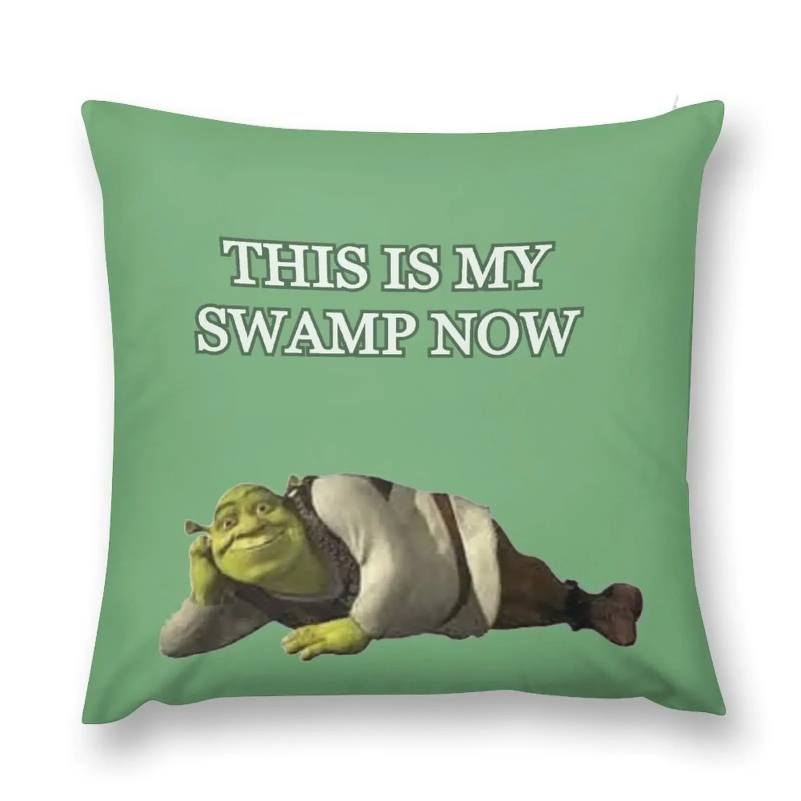 This is my swamp now design Throw Pillow Decorative Pillow Covers For Sofa Pillow Cases Cushions Cover Sofa Cushion Cover