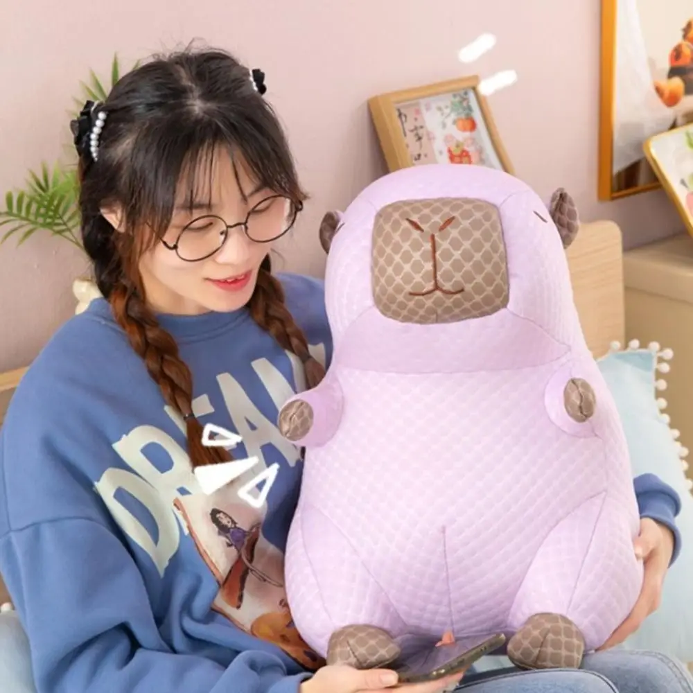 홈 장식 멋진 표면 Capybara 플러시 장난감 얼음 실크 상쾌한 Capybara 플러시 베개 사랑스러운 여름 멋진 콩 Capybara 인형 어린이