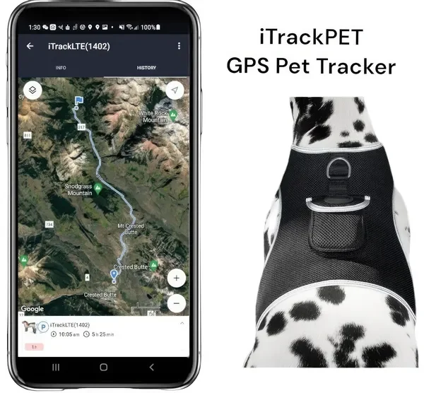 

Wireless GPS Tracking Collar for Hunting Dogs, Real-Time Location Monitor, Size M