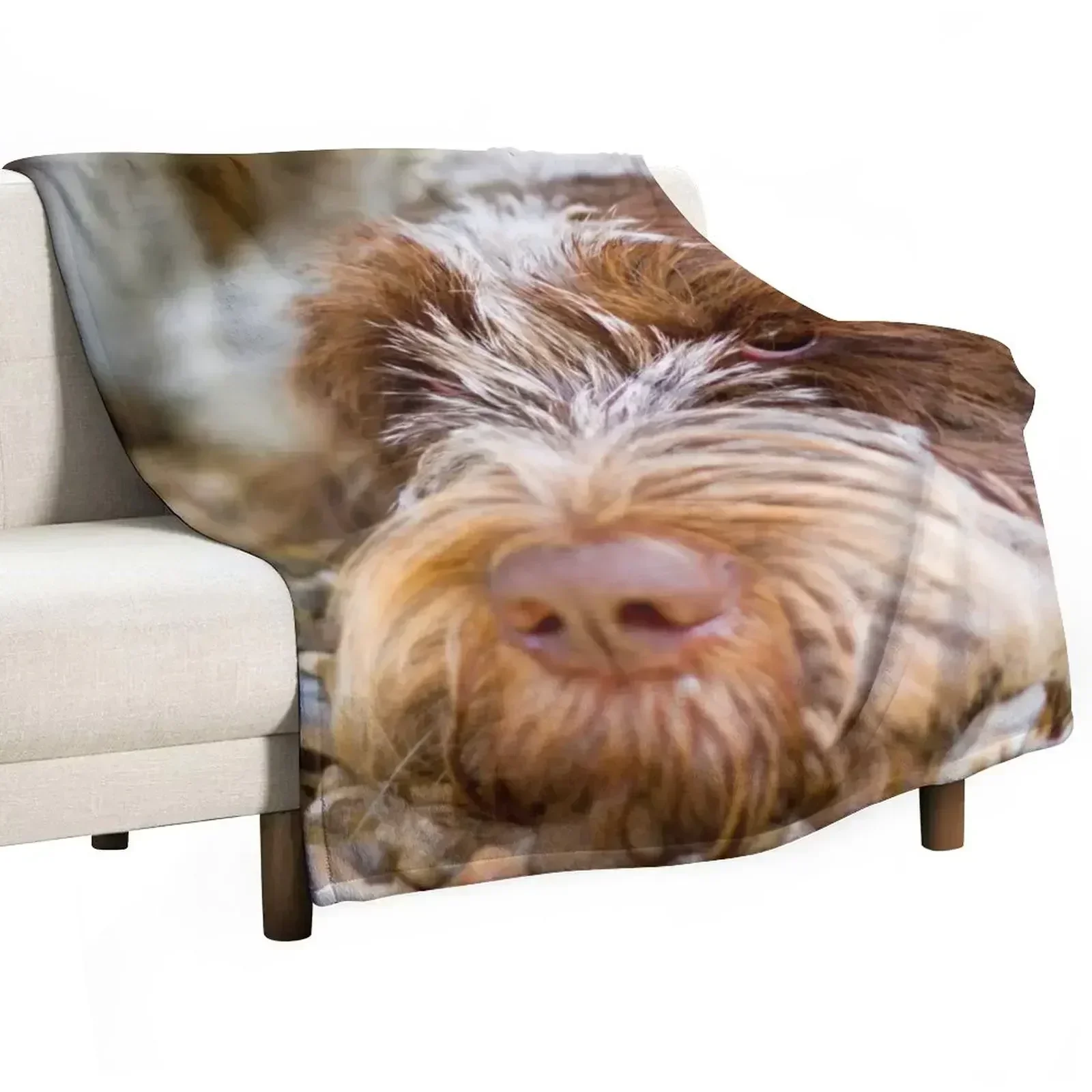 Lying down Spinone Throw Blanket Thin Furry Blankets For Sofas Thermal Flannels Blankets Sofas Of Decoration Blankets