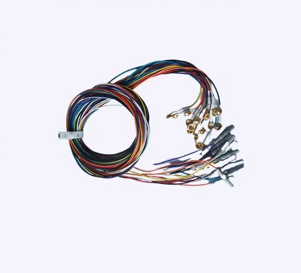 Eeg Accessories Spe…