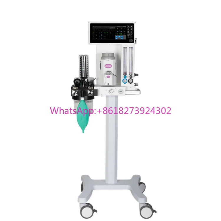 Top Selling Derry Petcare Portable Vet Surgical Equipment Animal Veterinary Instrument Anesthesia Machine