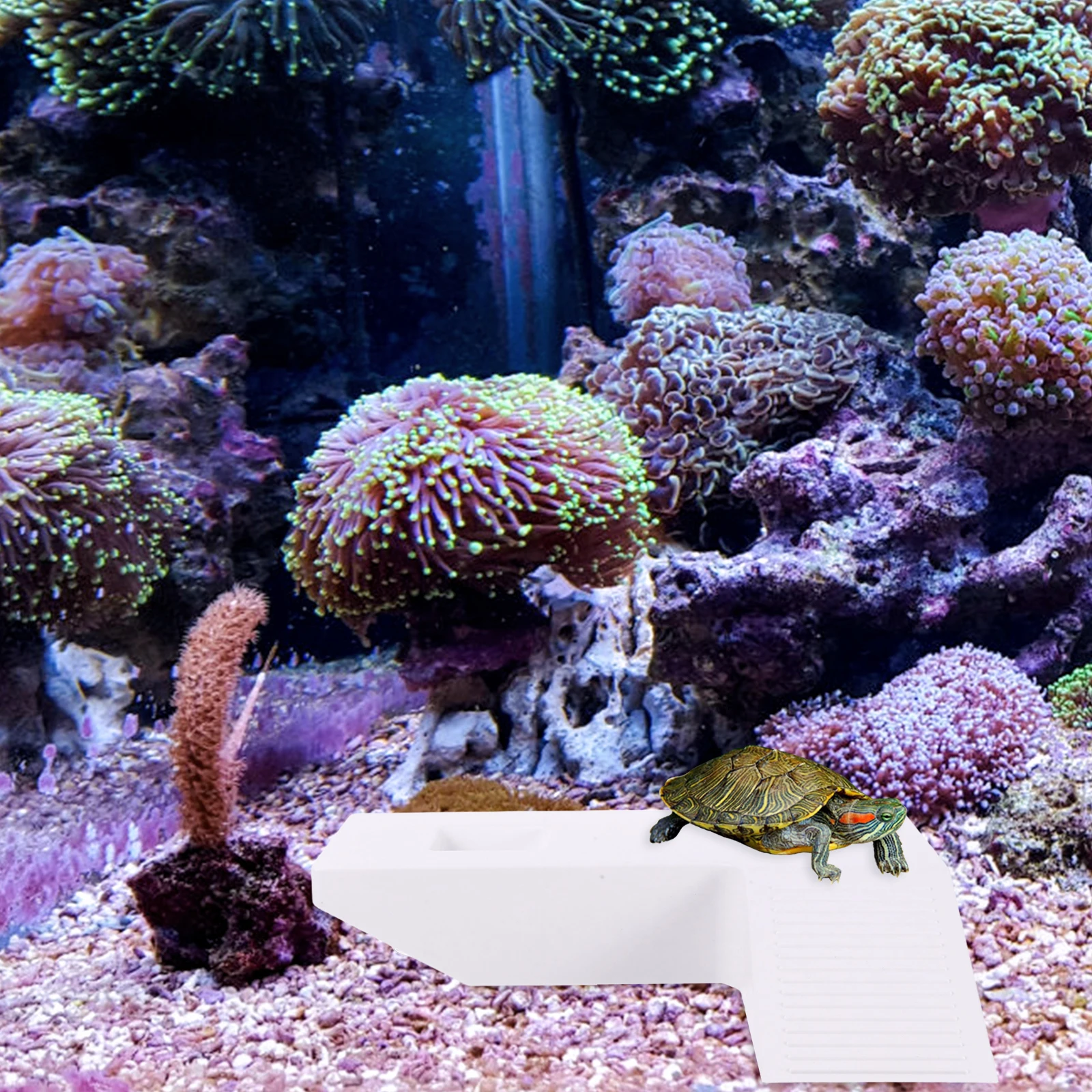 

Turtle Terrace Aquatic Habitat Ramp Accessories Climbing Reptile Accessory White Platform Tank