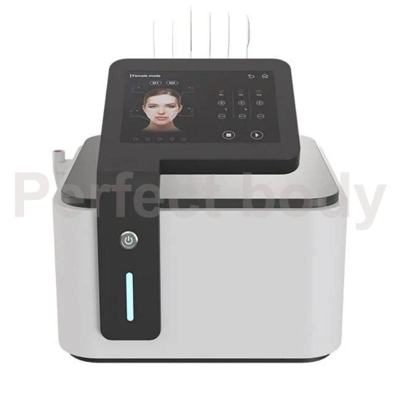 Portable Electric Magnetic Microcurrent EMS PE Facial Lifting Machine Skin Tightening Wrinkle Removal Anti-aging RET-Face Device