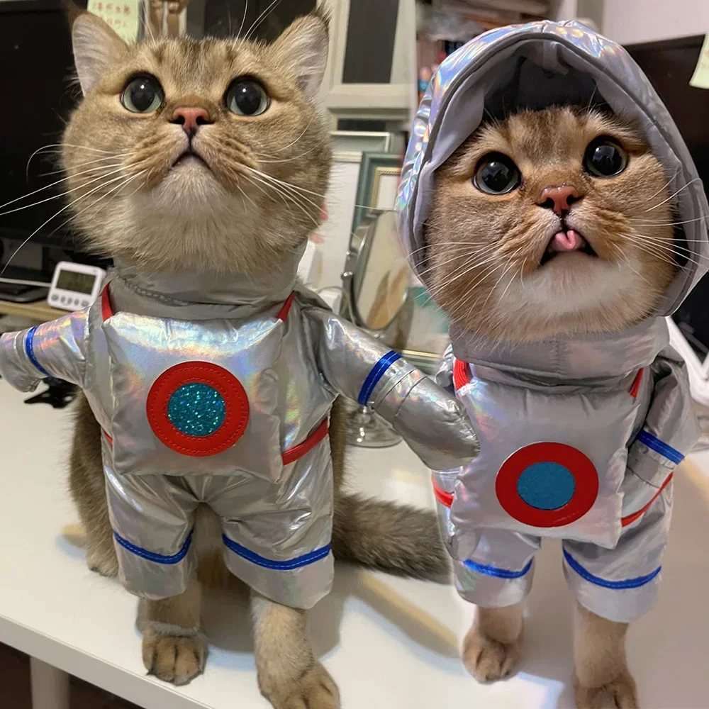 Haustier Astronaut stehend Transformation Outfit lustige Haustier Hund Katze Halloween Kostüm Hund Kostüme für kleine Hunde