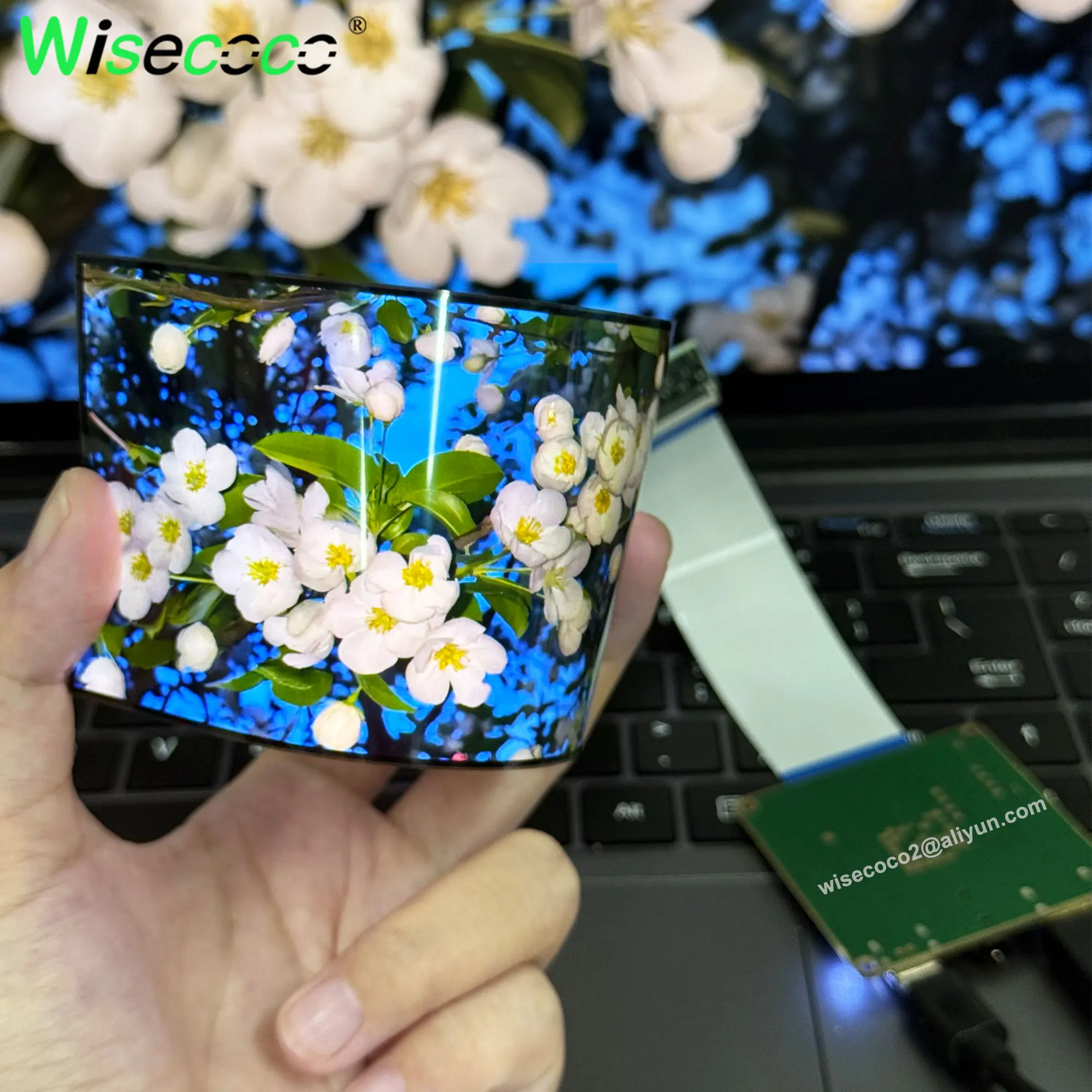 Diy Wearable Electronics - Wisecoco 5 Inch AMOLED Flexible Display