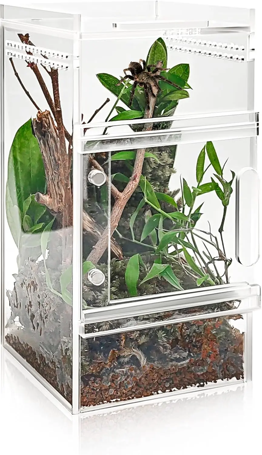 

Jumping Spider Enclosure 3x3x6 Inch Acrylic Spider Cage Insect Terrarium Bug Enclosure Tarantula Enclosure Reptile Terrarium for