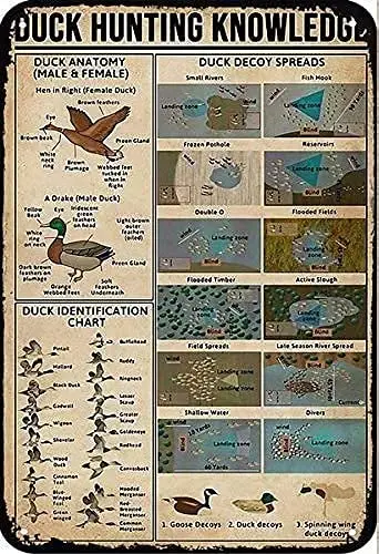 LindaFeeney Duck Hunting Knowledge Metal Tin Sign Duck Identification Chart Printing Poster Plaque Bar Club Man Cave Living sign