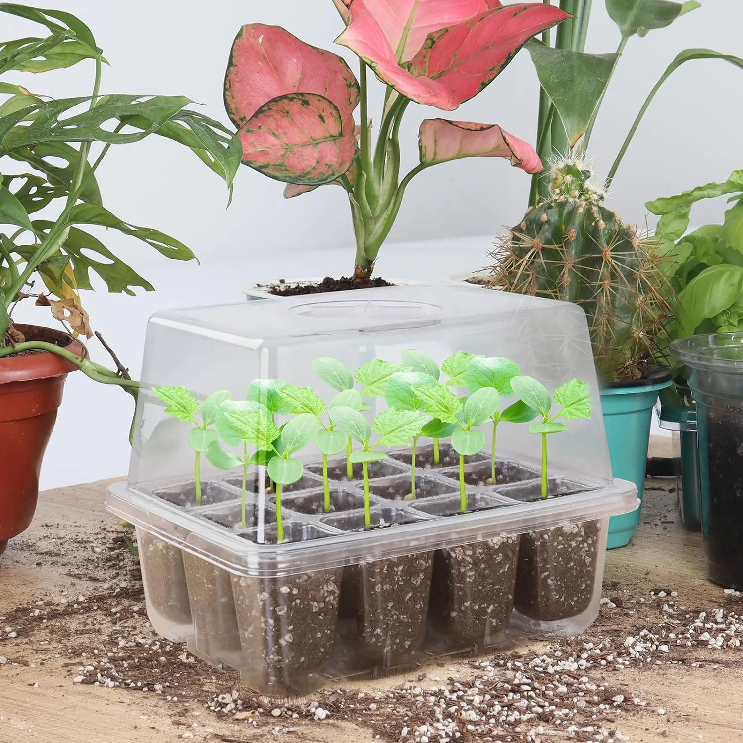 10팩 씨앗 발아 트레이 키트 120셀 투명 플라스틱 온실 정원 조절 가능한 습도 통풍 화분 플랜터
