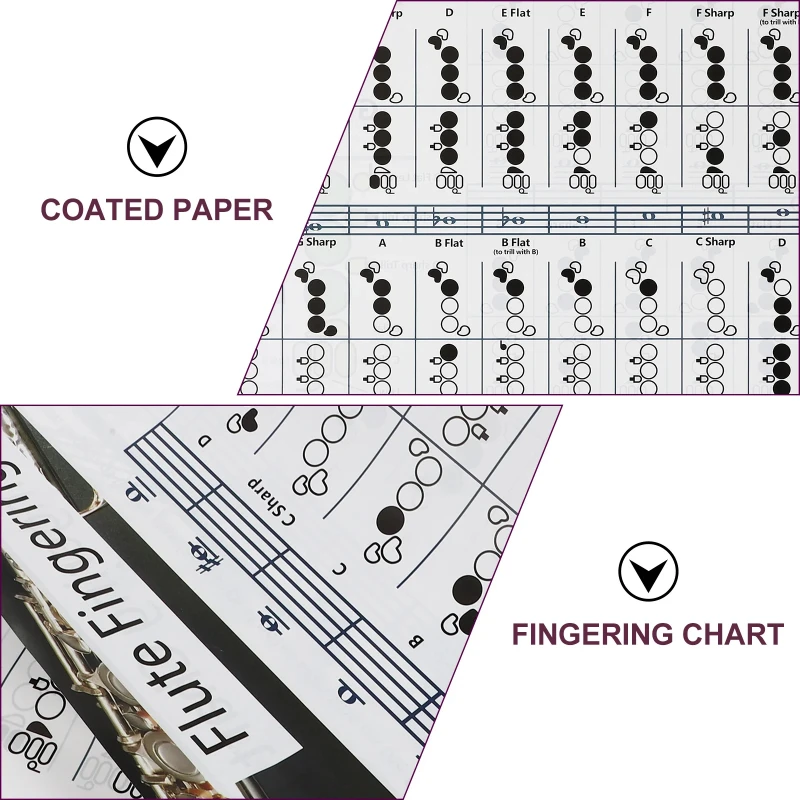 Useful Guitar Flute Chord Fingering Chart Flute Practice Comparison Chart For Beginners Practicing Accessory Music Chord Poster