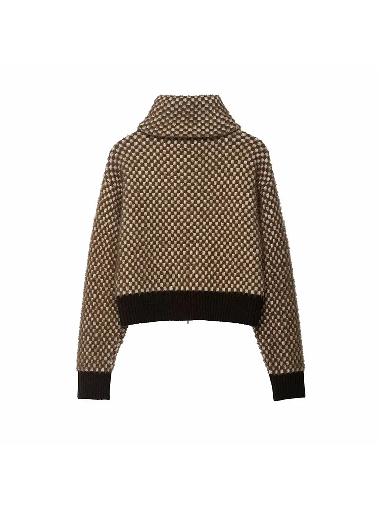 نساء 2025 شتاء جديد الفراء الاصطناعي الطيار سترة طوق سترة رداء علوي من الصوف سماكة اللون كتلة القمم جاكيت زيبرا