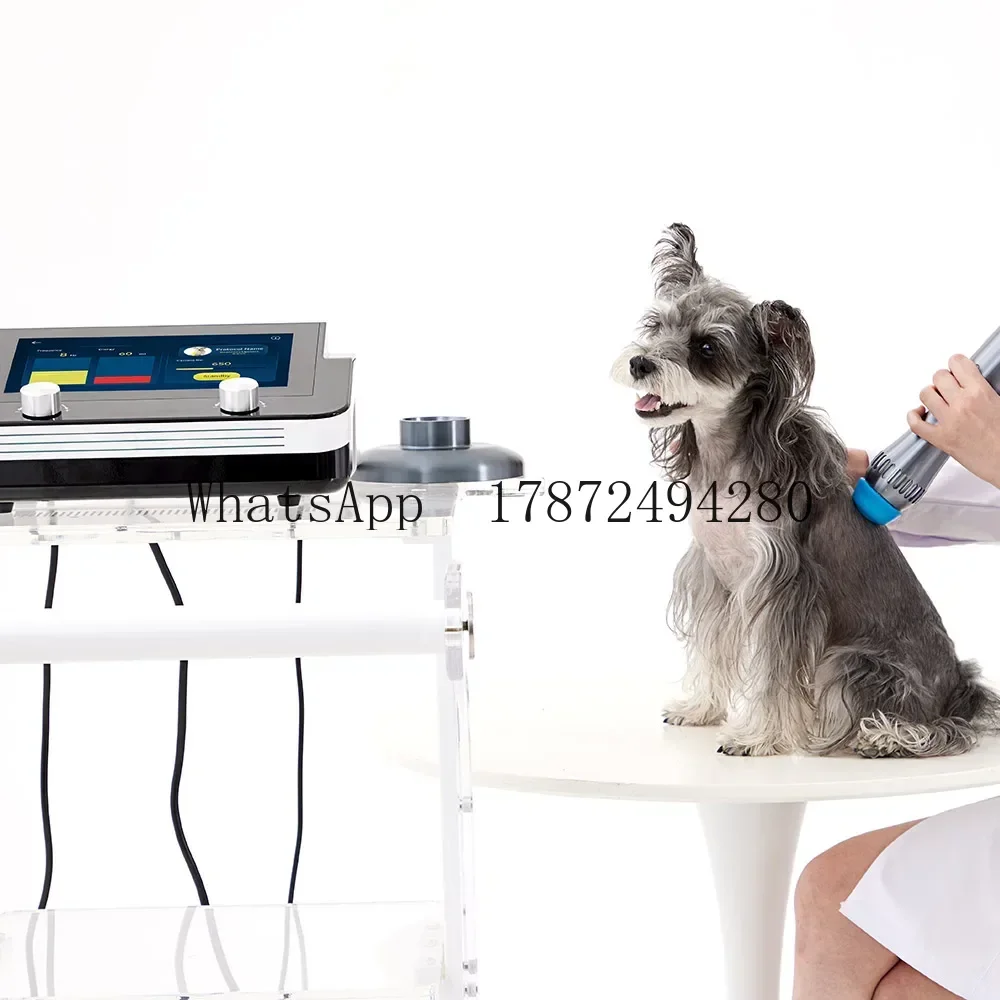 Veterinary 1-6bar Horse Electromagnetic Shockwave Therapy Machine For Pain Relief