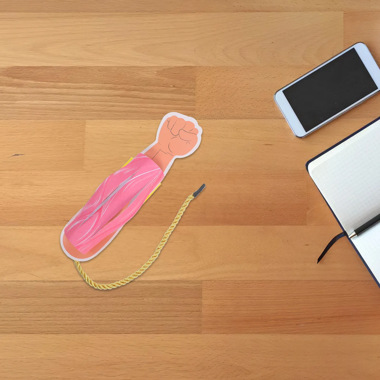 

Анатомическая модель руки человека: учебное пособие для изучения физиологии и биологии