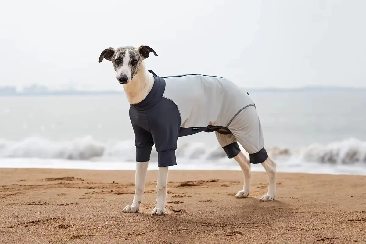 FurStarDog Cool Sunscreen Four Cornered Clothing Outdoor Protective Clothing For Small And Medium Sized Dogs Unisex
