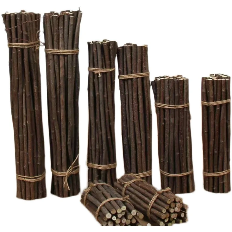 أعواد خشبية من خشب البتولا الطبيعي، فروع جافة لمشاريع الحرف اليدوية، دعائم الصور، ديكورات الزفاف المنزلية #1