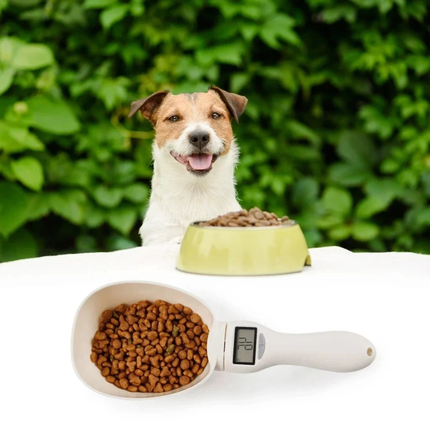 Convenient and reliable LCD digital display pet food scale spoon for precise portion control and easy nutrition monitoring. Prom