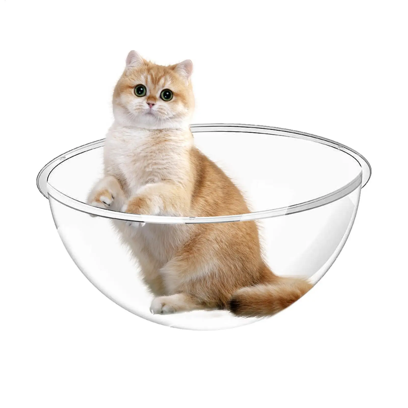 Cama para Gatos con Cúpula Acrílica, Cama Transparente para Gatos, Estructura para Escalar para Gatos de Interior, Inodora, para Animales, Casa, Balcón