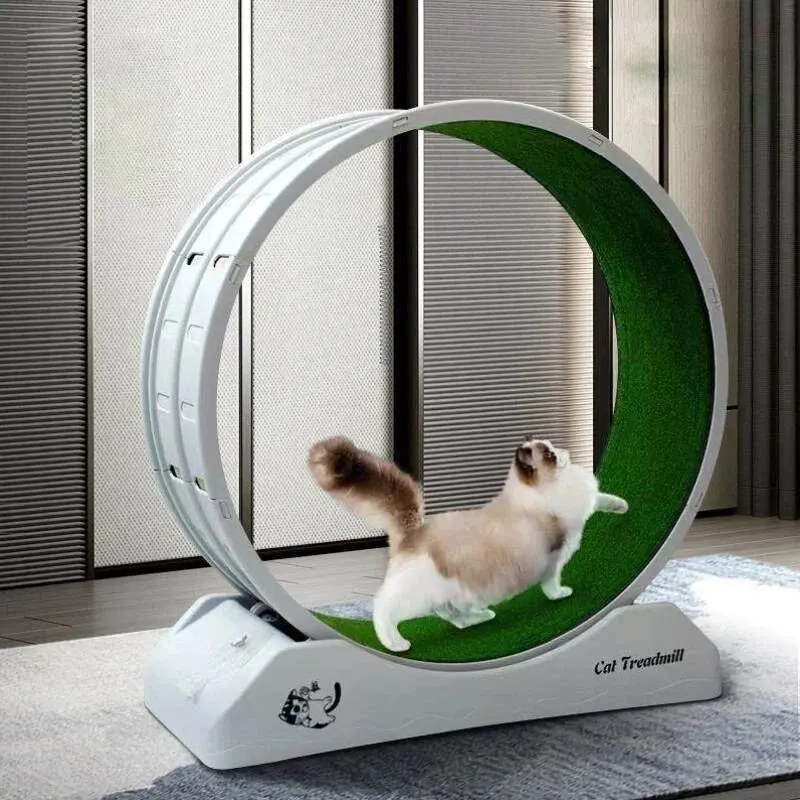 Cat Toys Silent Treadmill Running Wheels Roller Flatbed Pet Fitness Scratcher Board Exercise Cat Climbing Frame Pet Supplies