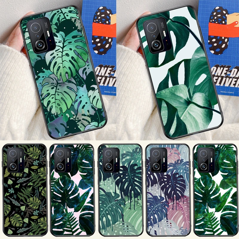 Tropical Monstera L…