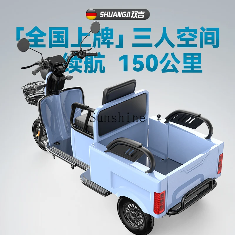 Electric tricycle new national standard household small the elderly battery car men and women pick up children