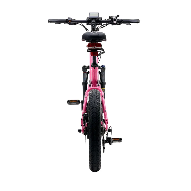 F4 20inch Fat Tire Electric Bike Full Suspension Ebike Powerful Urban Commuter Adult Electric Bicycle image 6