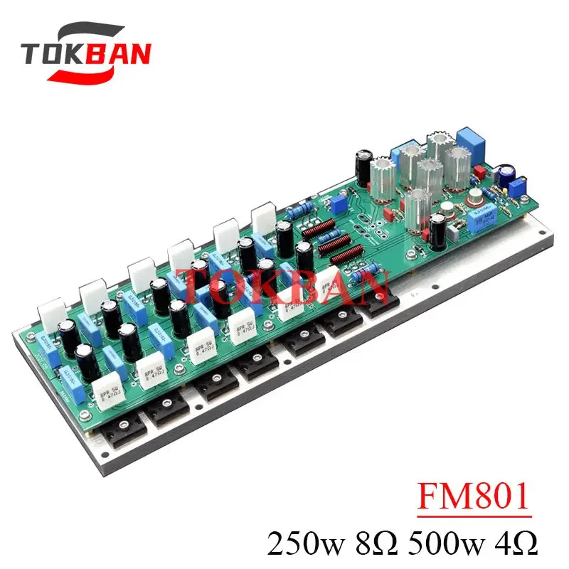 Tokban FM801 500w Mono Power Amplifier Board Gold Sealed Tube 3440/5416 High Power Ac52v DIy HIFI Amplifier Audio