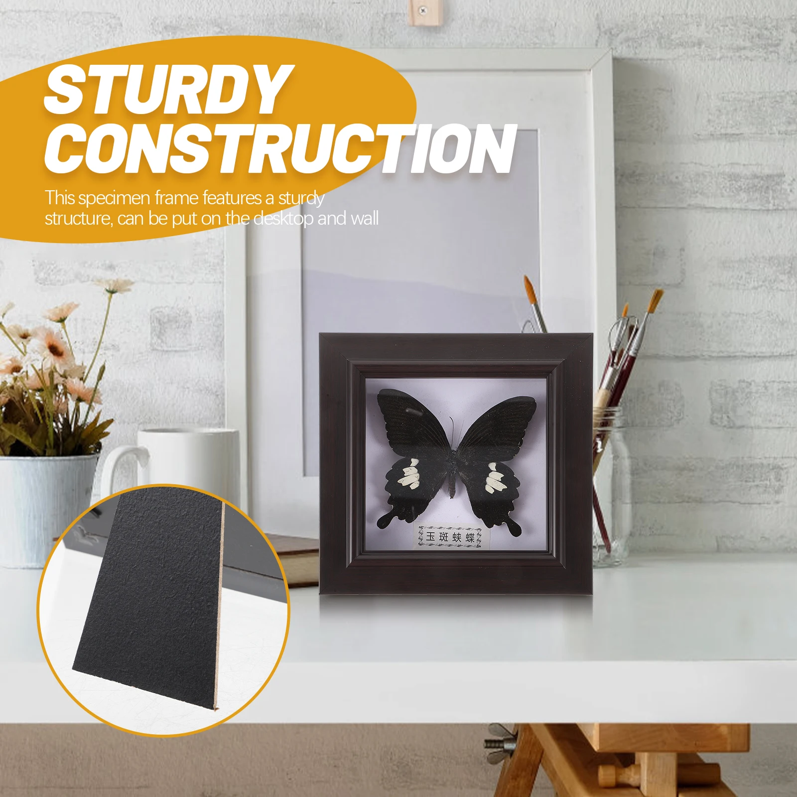 

Simulated Butterfly Specimen Wall Decor Handmade Ornaments Display Frame Acrylic Craft Teaching Aids Perfect Gift