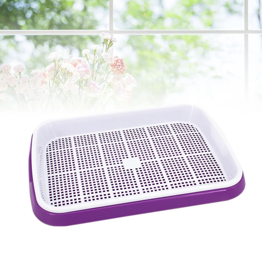 1 قطعة مجموعة صينية تنبت الأرجواني Bpa الحرة Pp نظام النمو بدون تربة لعشب القمح Microgreens الفواكه الخضروات متعددة الوظائف #3