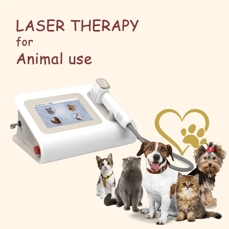 Cold Laser Therapy Device for Dogs Professional Laser Therapy for Dogs Pet Device Laser Treatment for Animals