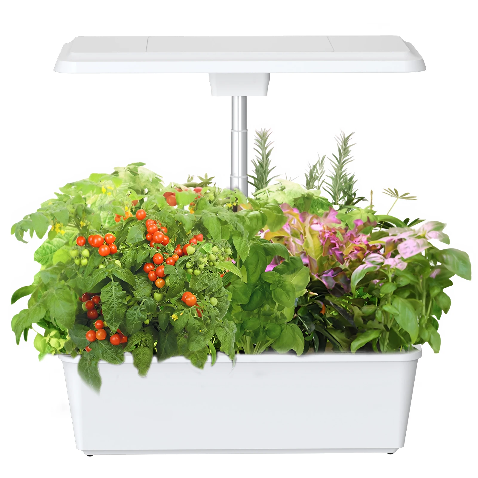

New Trending Smart Mini Kitchen Garden Indoor Hydroponic Growing System OEM 12 Pods