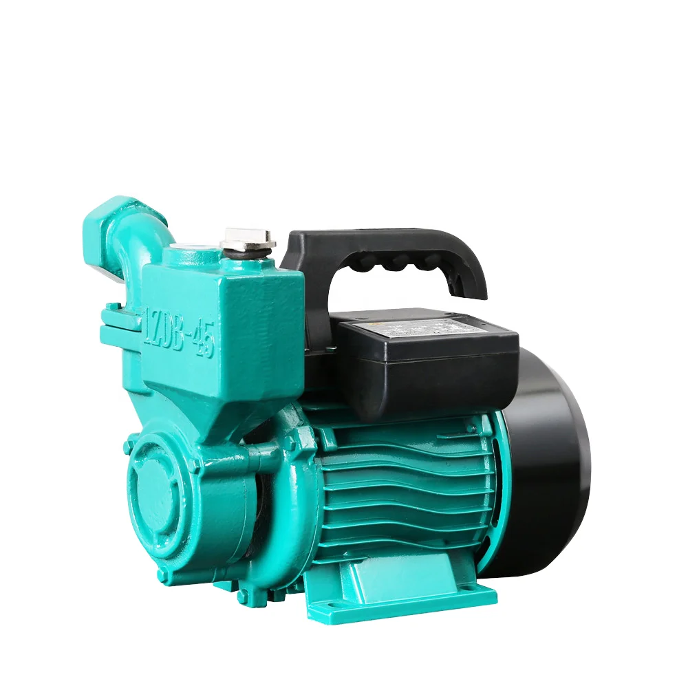 High Efficiency Cast Iron Self-priming Pump Single Stage Electric Booster Pump 0.75kw Motor Powered Centrifugal Theory Low High
