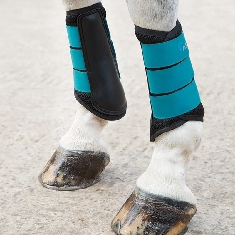 Equestrian supplies Horse leggings, a pair, all-round