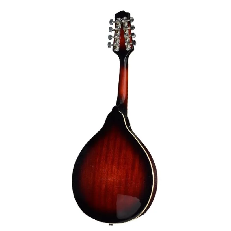 Electroacoustic mandolin Western musical instrument, mandolin, electroacoustic mandolin
