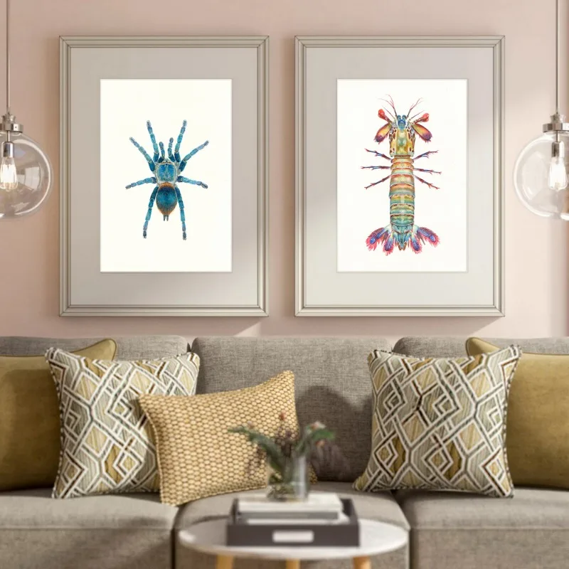 2026 Insect Beetle Collection Retro Poster Spider Fly Canvas Painting and Prints Wall Art Picture for Living Room Home Decorati
