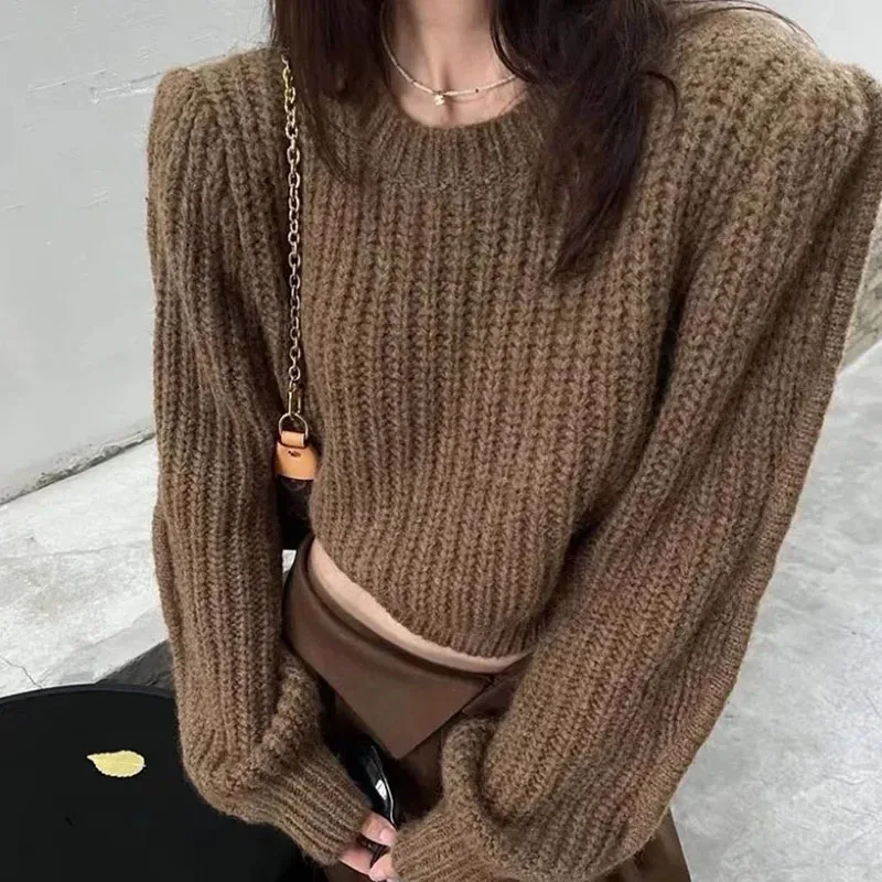 Lucyever Sweater Women Knitted Pullover Autumn Winter All-Match O-Neck Jersey Jumper Female Fashion Streetwear Short Sweaters