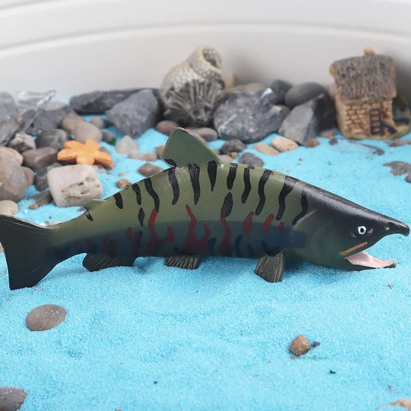 Marine Animals Arachnid Fish Basking Shark Cynops Orientalis Squid Action Figures Simulation Salmon Xiphactinus Figurine Kid Toy