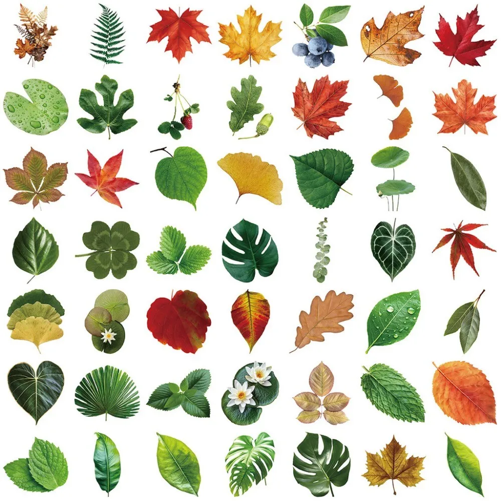 50 SZTUK Przezroczystych Naklejek w Stylu INS z Liśćmi - Wodoodporne PET do Scrapbookingu, Dekoracji Gitary i Notatnika RecordingYourLife Store
