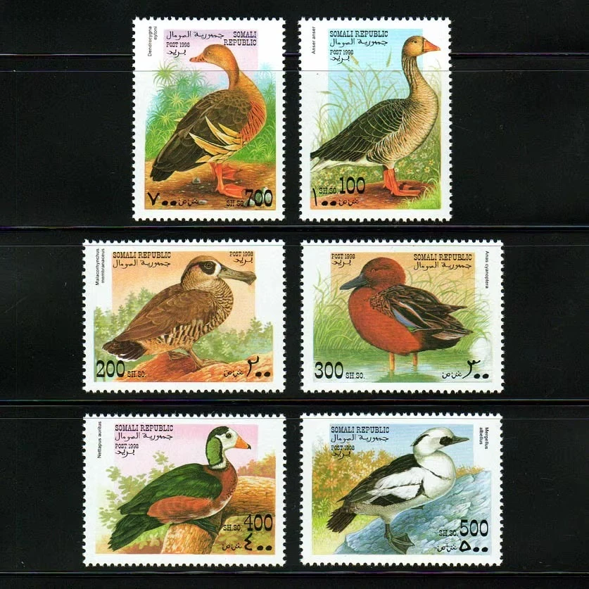 6Pcs/Set New Somali…