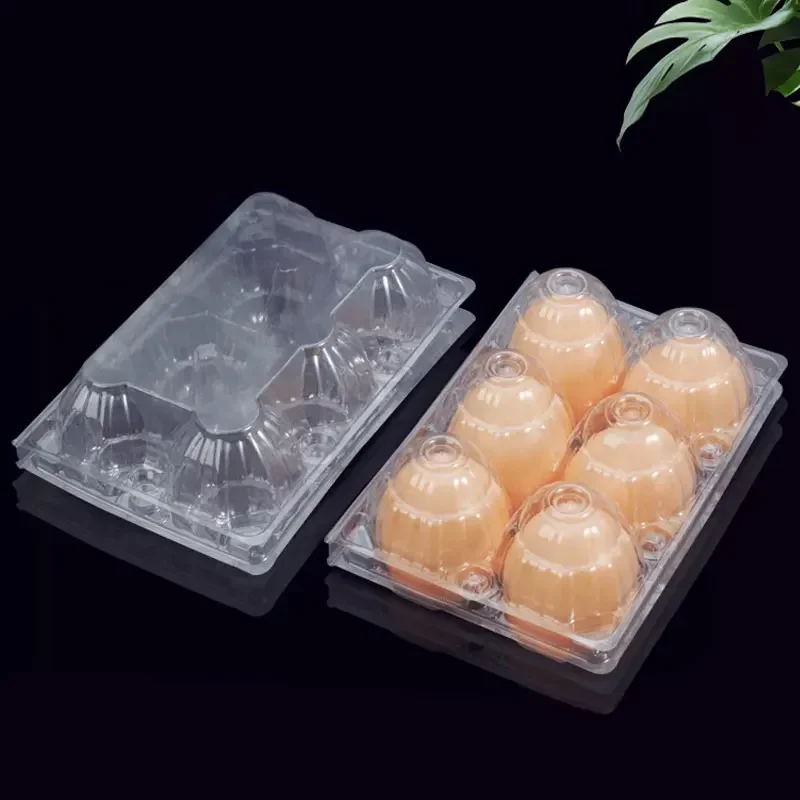 Disposable Transparent Egg Packaging Box Shockproof Pressure Resistant Plastic Egg Tray 6-hole 10 Hole Egg Protection Boxes