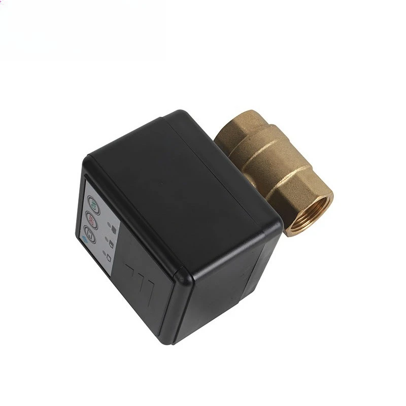 Tuya WiFi 433MHz Water Leak Sensor with Brass Auto Shut Off Valve Battery Not Included Flood Detector Smart Kit