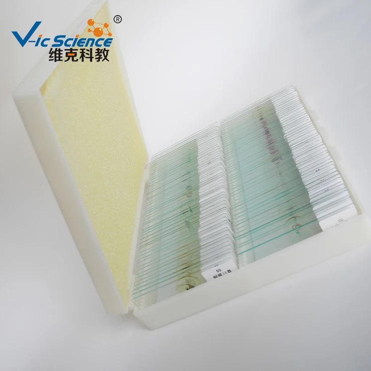 100pcs Parasitology Prepared Slides
