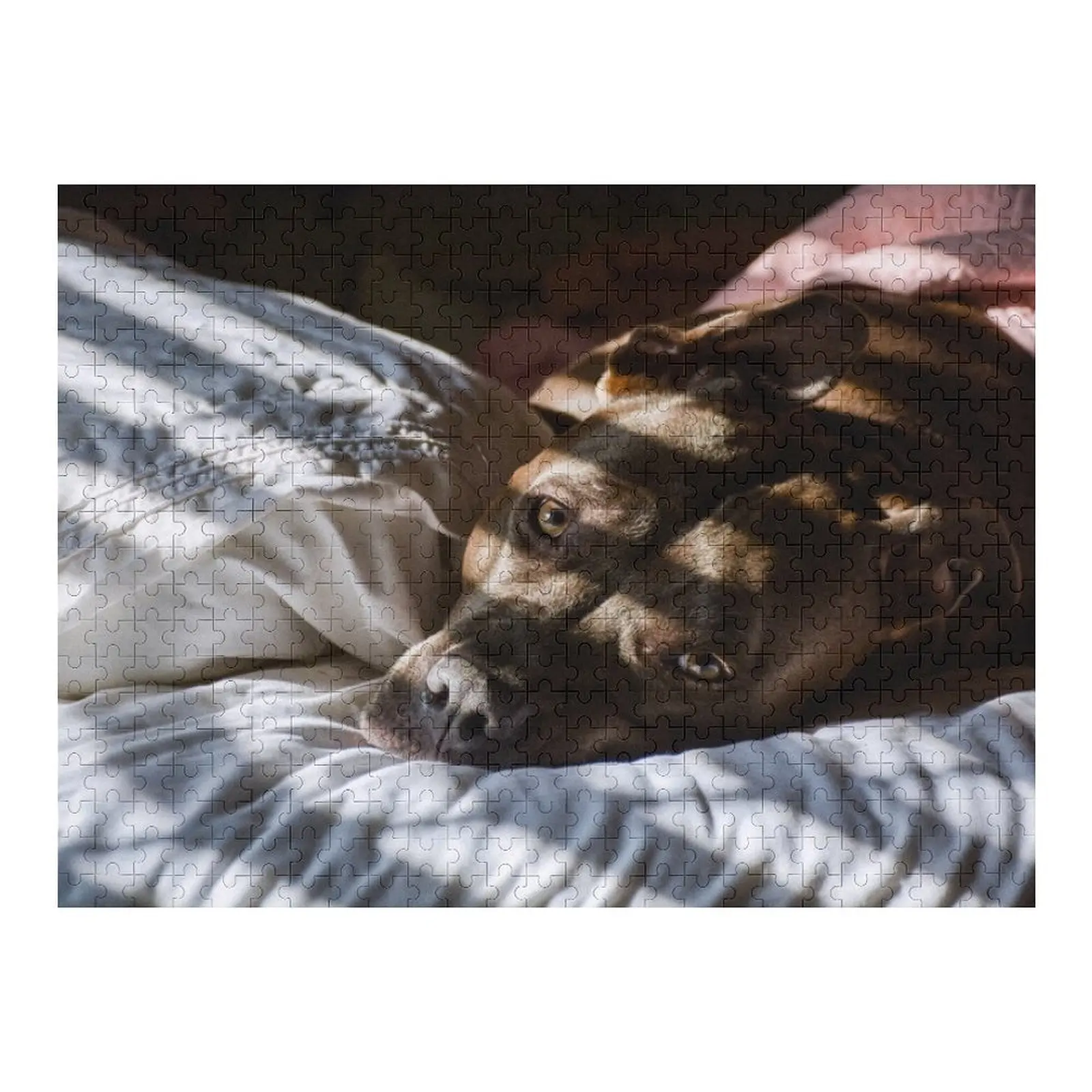 

Puppy Dog Eyes Jigsaw Puzzle Custom Jigsaw Photo Diorama Accessories Wooden Boxes Puzzle