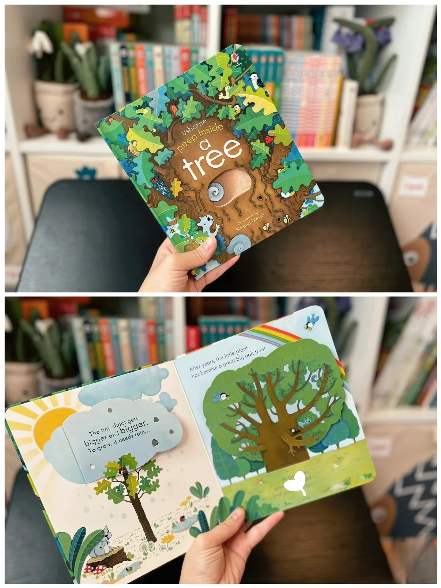 Usborne Peep Inside A Tree English Learning Flap Picture Book Educational 3d Flap Picture Books Children Reading