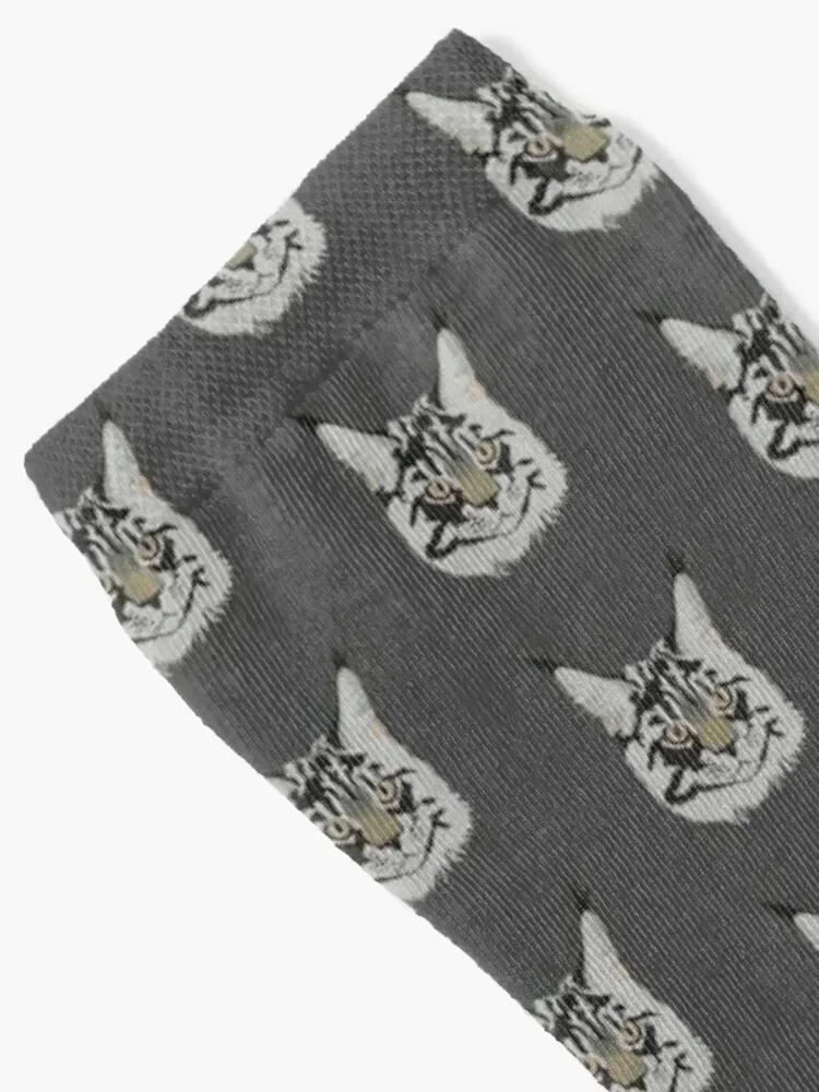 Denzel the Maine Coon Cat Socks anime christmass gift tennis Climbing Men's Socks Women's