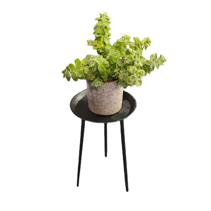 European Style Iron Flower Stand Removable Base Indoor Plant Stand For Living Room Balcony Design With Bonsai In Mind