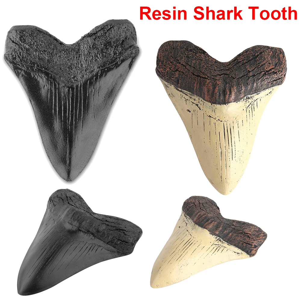 Diente de Tiburón Megalodon gigante, réplica de Diente de Tiburón fácil de limpiar, accesorios de enseñanza de bología marina, fósil de dientes de tiburón, los mejores regalos, 5 pulgadas