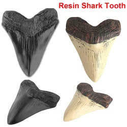 5inch Giant Megalodon Tooth Easy Clean Shark Tooth Replica Marine Bology Teaching Props Shark Teeth Fossil Best Gifts