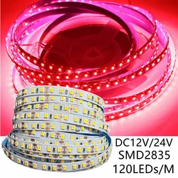 2835 LED Strip 120LEDs/m DC12V 24V Home Lamp Strip Red Ice Blue Green Yellow Pink Home Decor Flexible And Cuttable Soft Lamp Bar